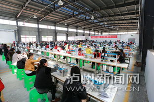 瀘州古藺玩具與紡織品 出海德國(guó)，帶動(dòng)就業(yè)新篇章